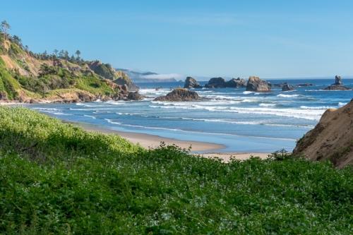 Beach;Blue;Boulder;Boulders;Brown;Calm;Cloud;Cloud Formation;Clouds;Coast;Coastline;Geological;Geology;Healing;Health care;Healthcare;Indian Beach;Mirror;Nature;Ocean;Oregon;Pastoral;Ripple;Rock;Rock formations;Rocks;Sand;Sea;Sea Stacks;Seascape;Stone;Stones;Tan;Tree;Water;Waterscape;Waves;Weather;Yellow;beach;beaches;coast;coastline;green;landscape;oneness;orange;peaceful;pool;reflection;reflections;restful;sea;serene;shore;shoreline;sky;soothing;tranquil;trees;zen